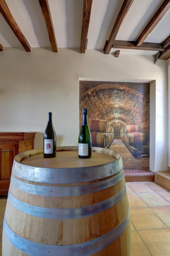 Gite La Grappe Occitane - 14 Personnes - Piscine Privee Ambres 外观 照片